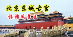 熟妇的大鸡巴中国北京-东城古宫旅游风景区